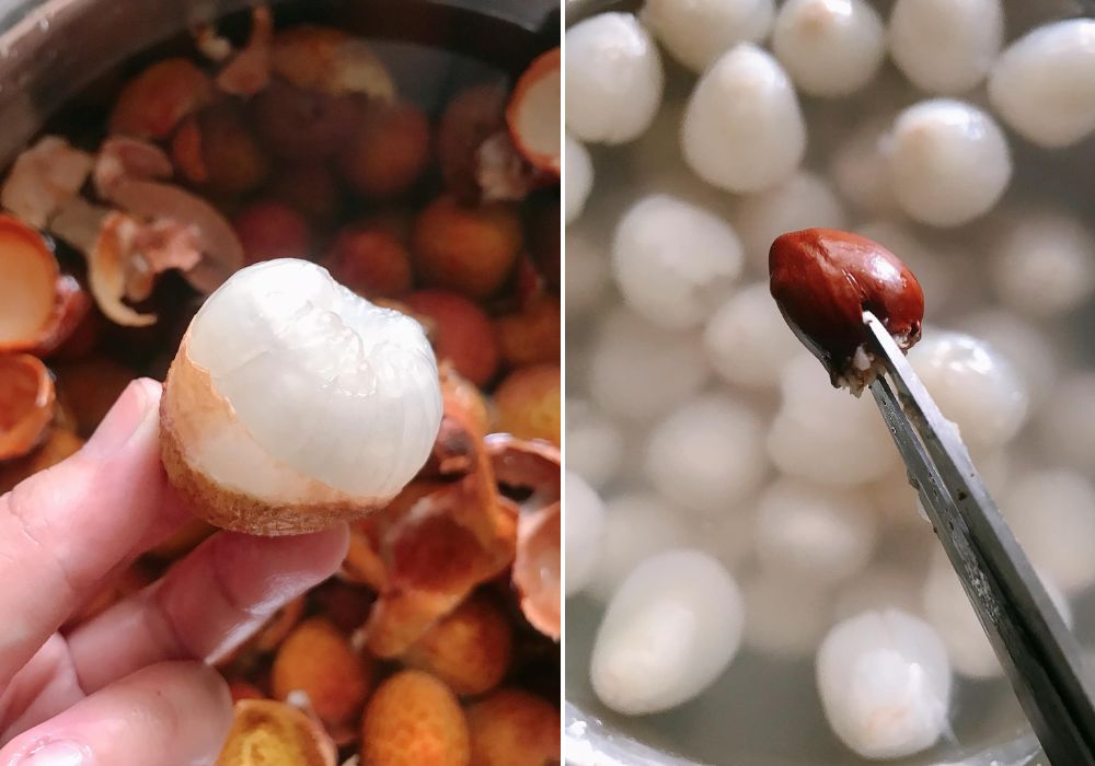 Tách hạt vải
